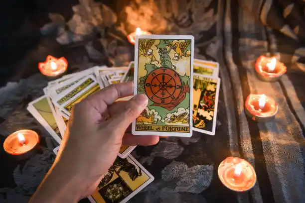 tarot cards Muir